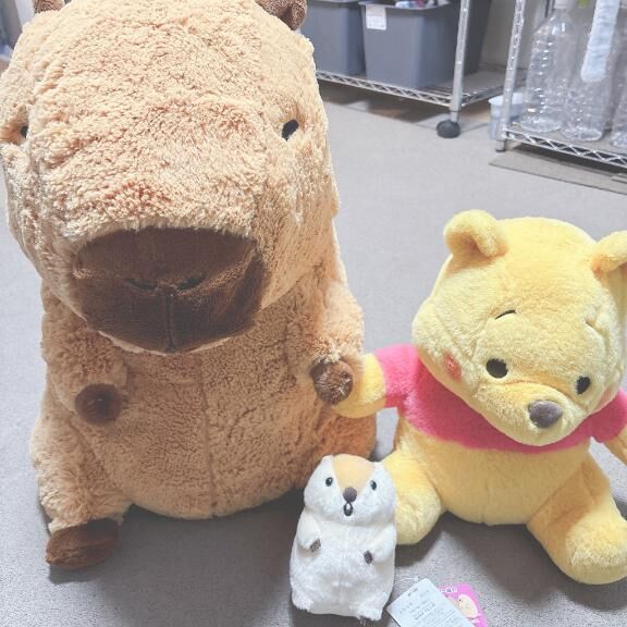 ♡♡♡ ♡♡ ♡ ♡ ♡♡♡