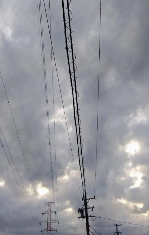 ⭐こんばんは⭐