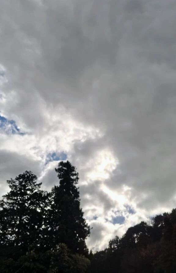 李こんにちは李