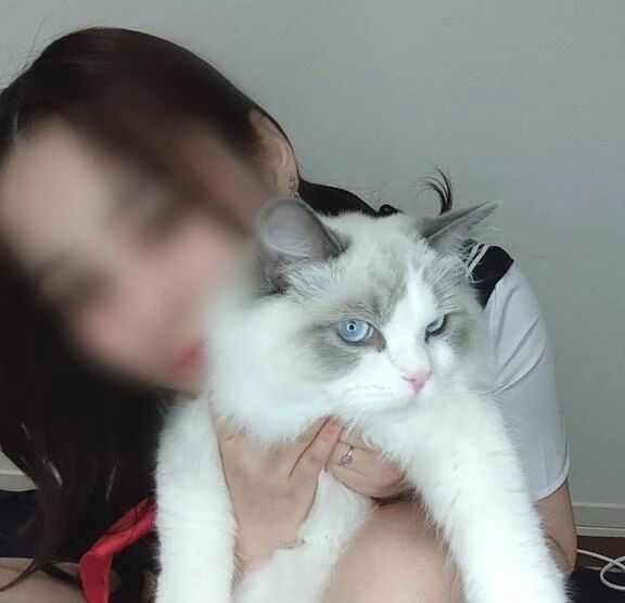 おひめの取扱説明書‪