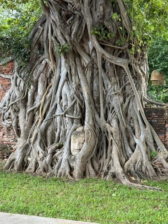 日曜日のお礼です﫶
