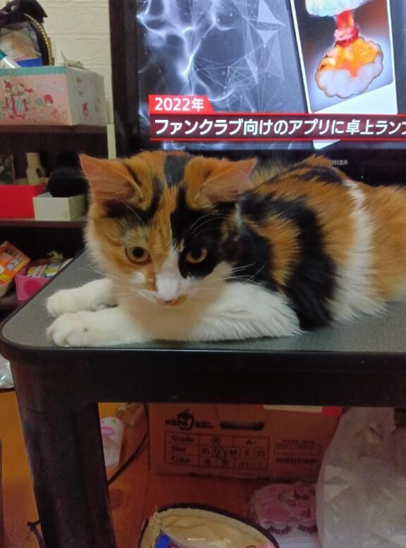 出勤しましたぁ