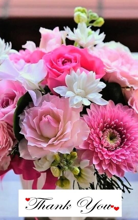 ✨5日みたよ♪の女の子会員の皆様✨