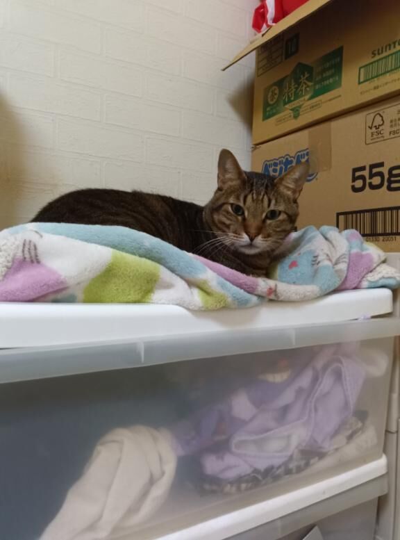 ご自宅202の殿方様