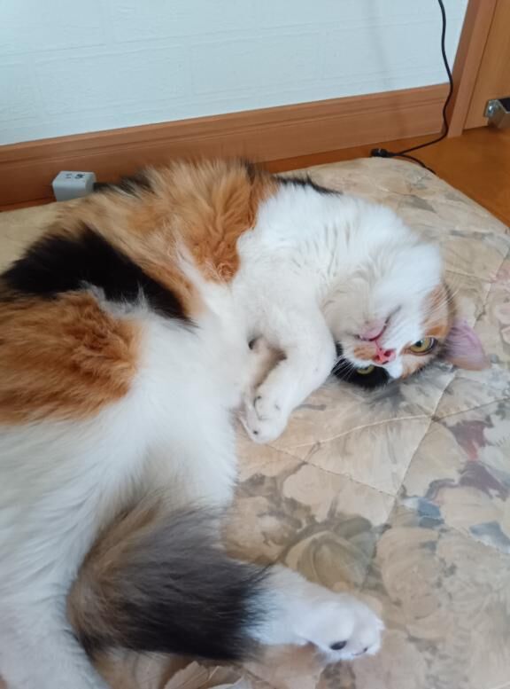 仲良しM様  19日の金曜日18時30分ご予約