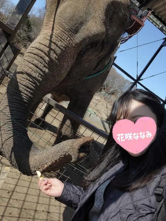 １４日の感謝