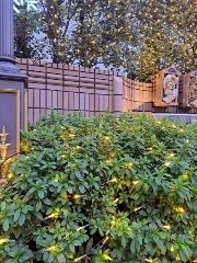 おはようございます