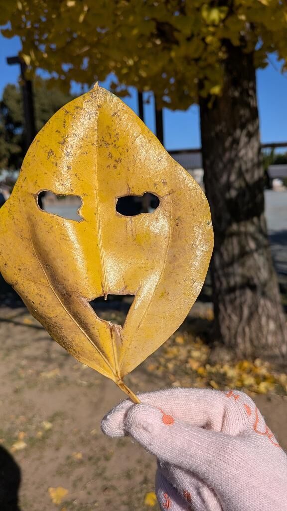 おはようございます♡