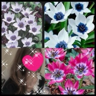 おはようございます♪