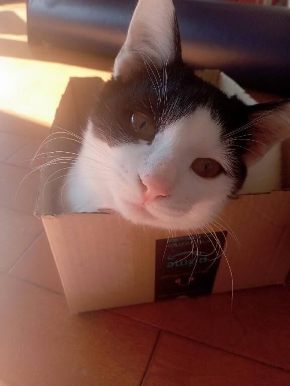 可愛すぎて困った♡