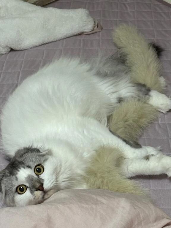 足に絡ませてる❤️