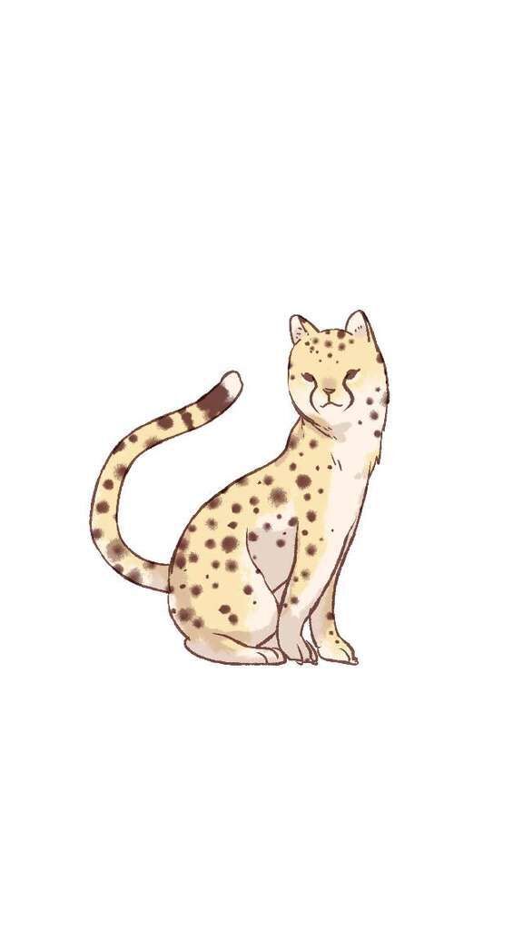 今日の運勢ランキング