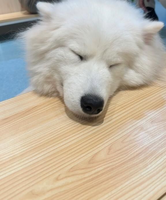 出勤しました♡