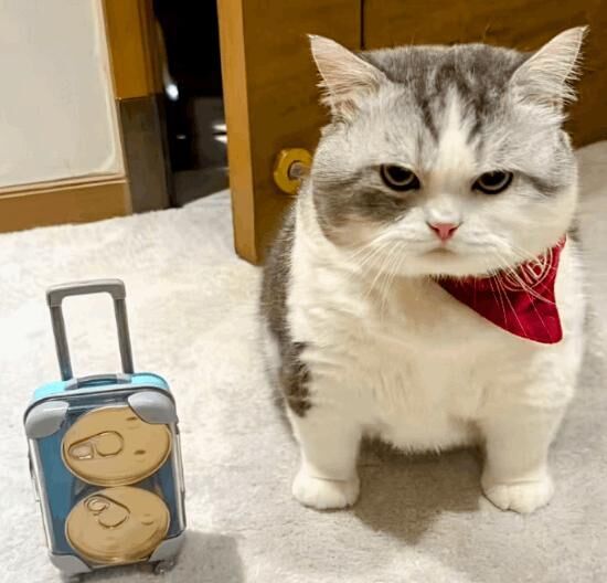 (ﾟ⊿ﾟ)ｲﾗﾈ