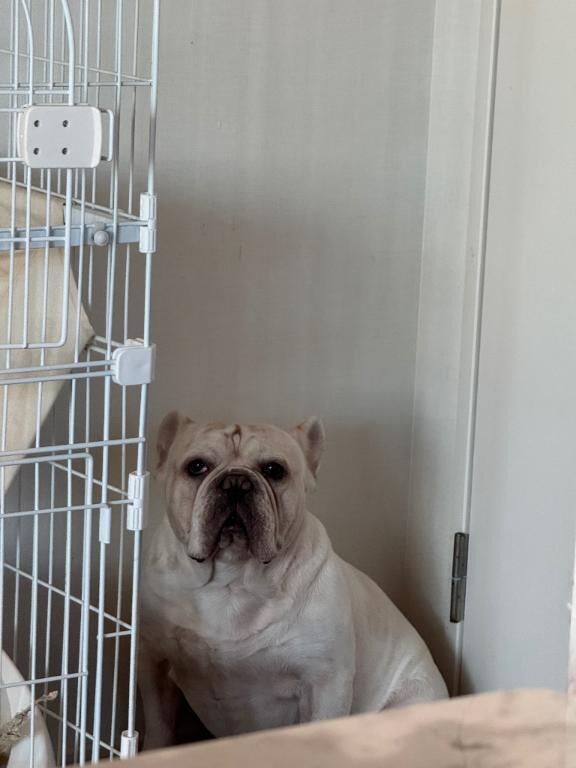 拗ねてるはむちん