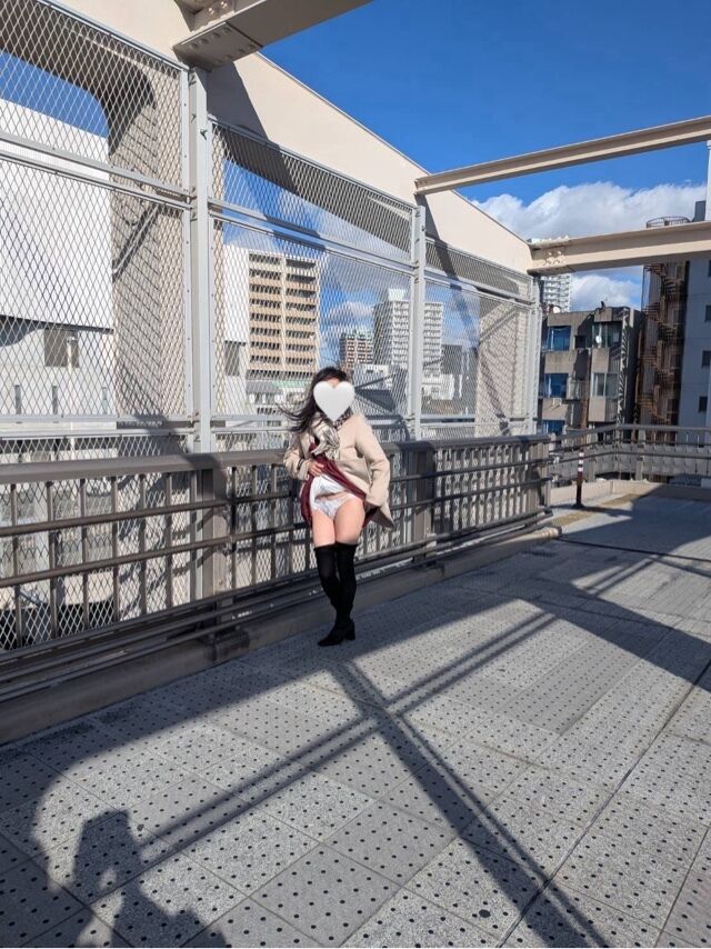 ほたるの人妻川柳日記(続ロングコース)