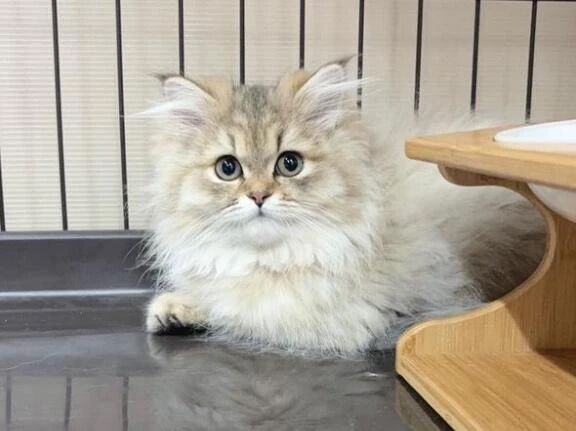 夕方のご挨拶