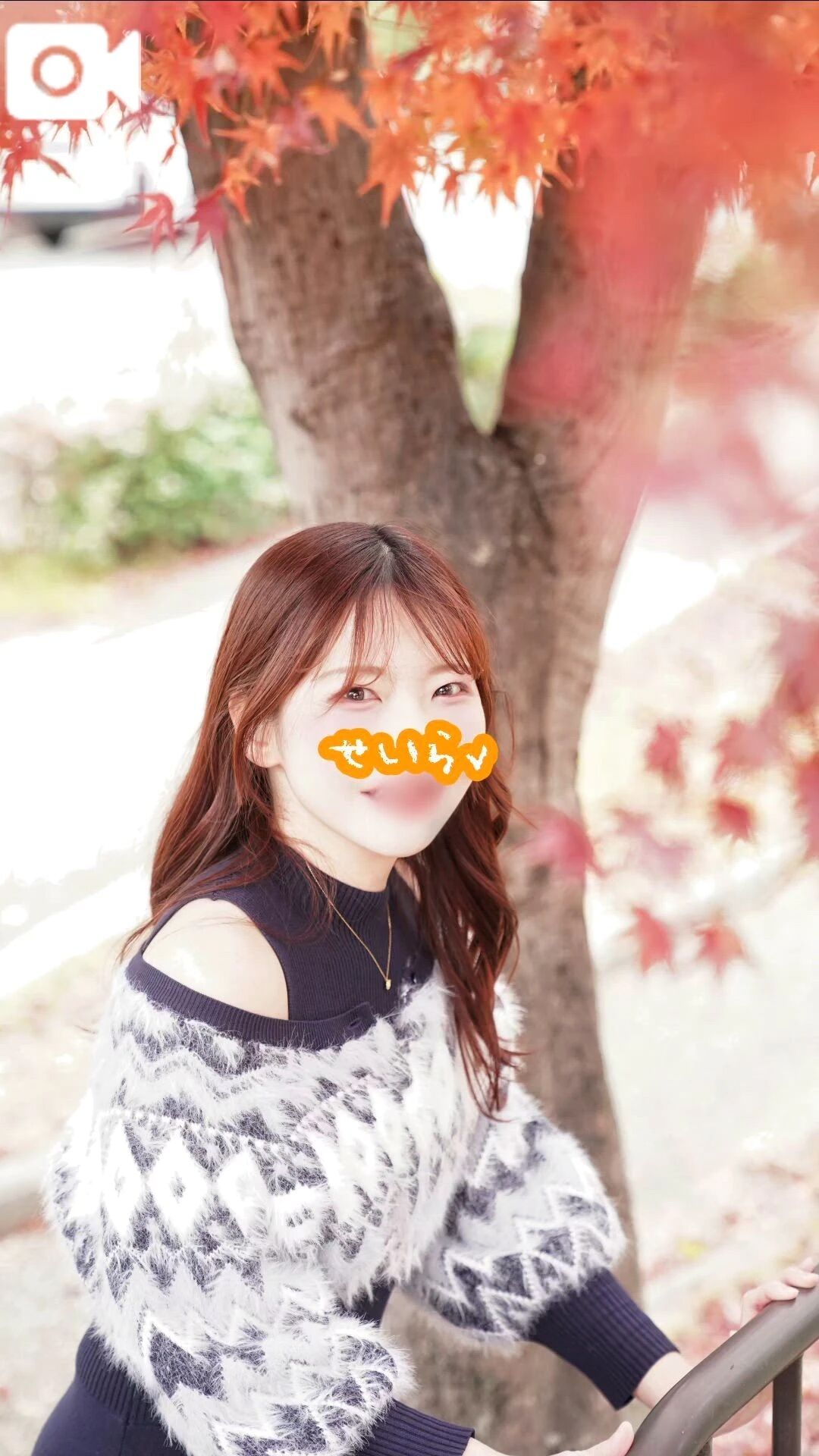 12月は月曜も出現率UP！？