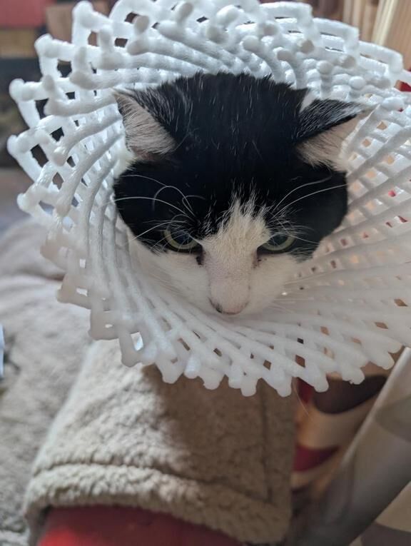 君はどこへいった