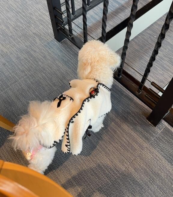 今年残りの空き枠