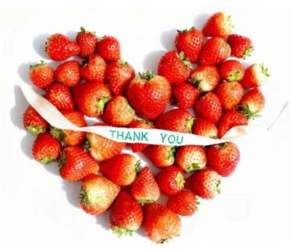 ❤️今日の感謝❤️