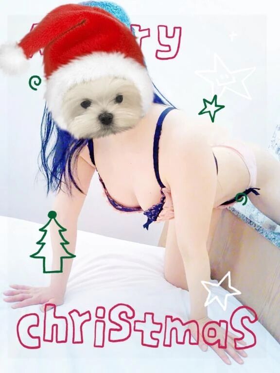 今の時間は、一宮市内は交通費が無料！