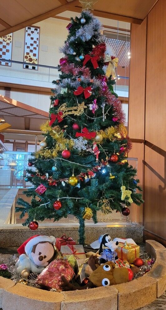 15日(月)　14時　♡様