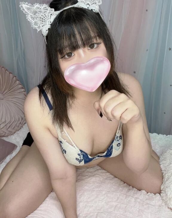 懶従順ネコは飼いませんか❓懶