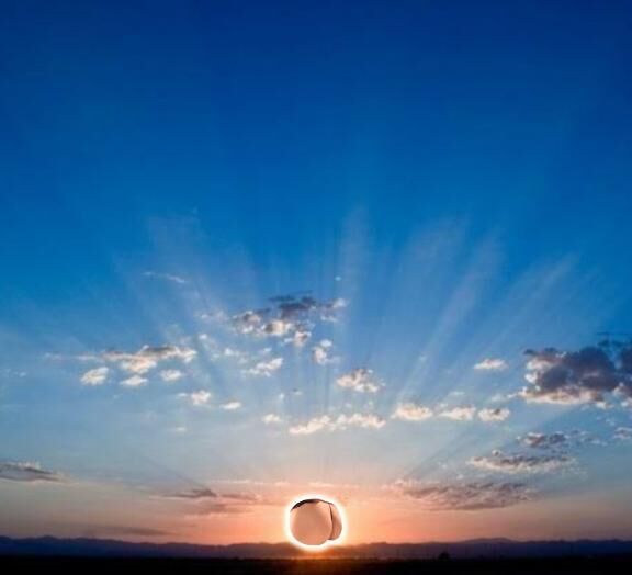 おはようございます