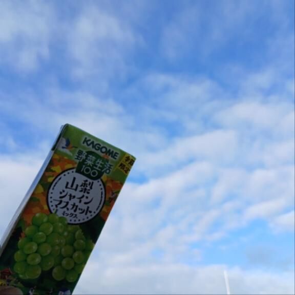 ＊おはようございます＊