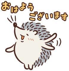 おはようございます♡