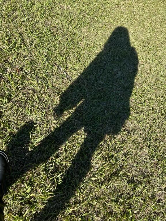 \\\\ みたよ♡♡ //