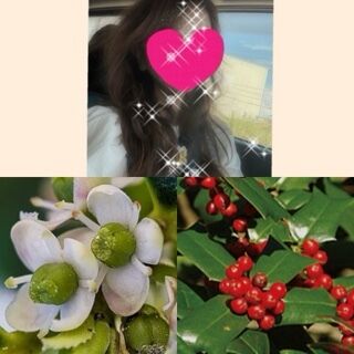 おはようございます♪