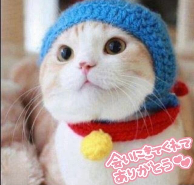 14日(日)ありがとう♡♡♡