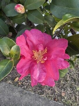 本日出勤します☆