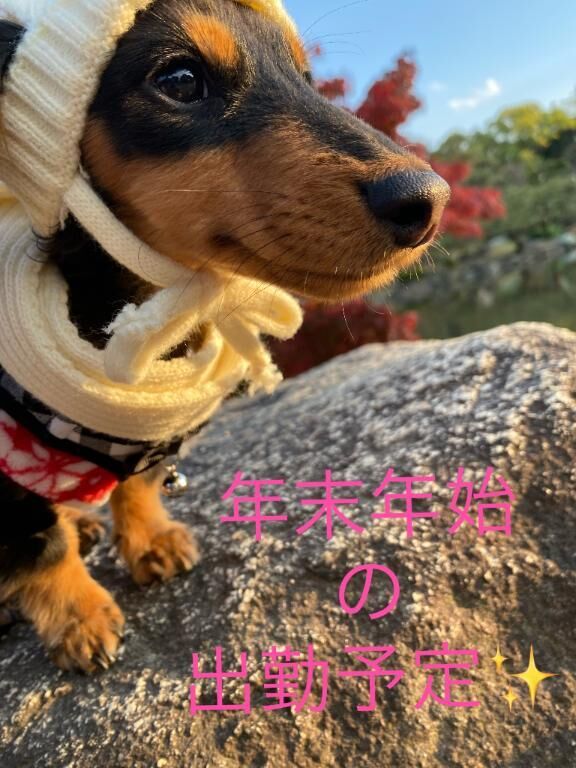 年末年始のお知らせ♡♡♡♡