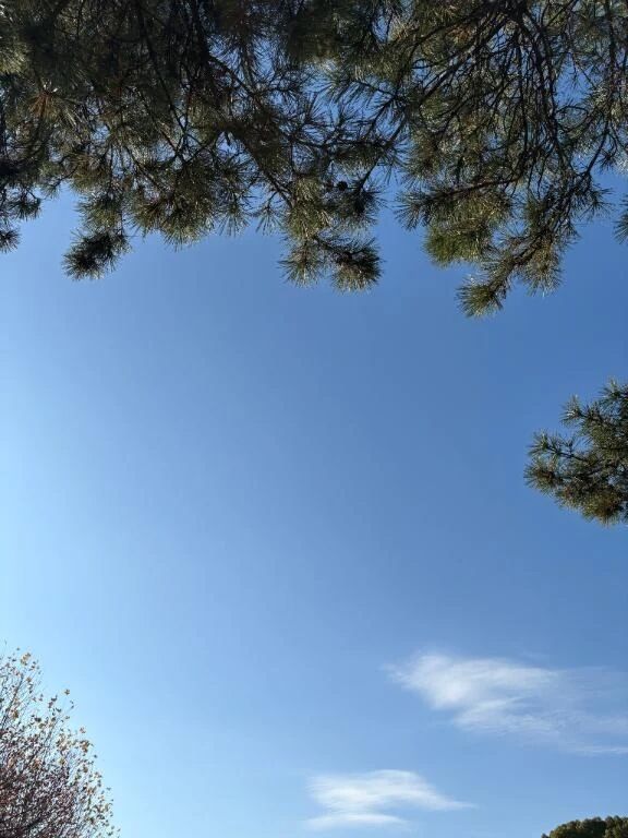 リフレッシュ☀️