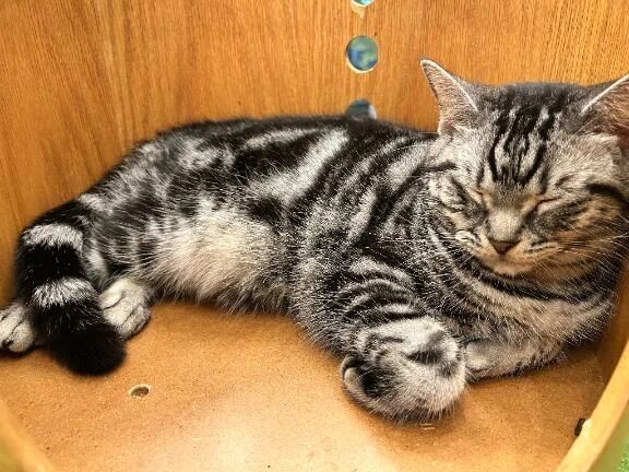 あと少しだよ〜っ