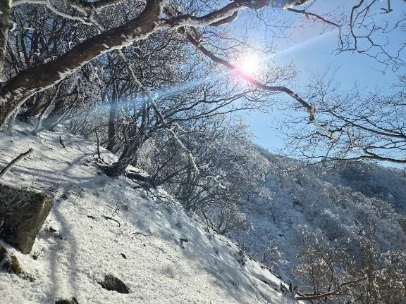 山頂だけ白銀の世界