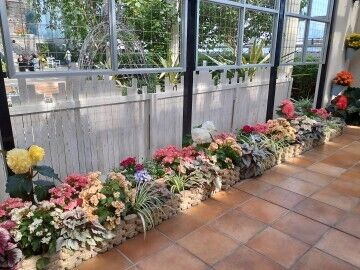 １６日火曜　Ｏ様　Love letter