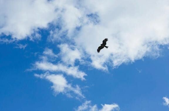 [お題]from:アポロンさん