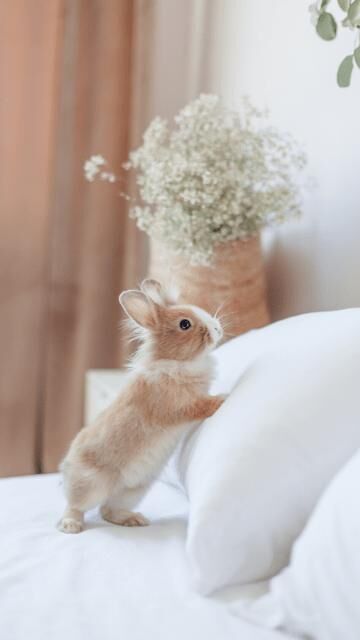 ひまだわ、笑笑