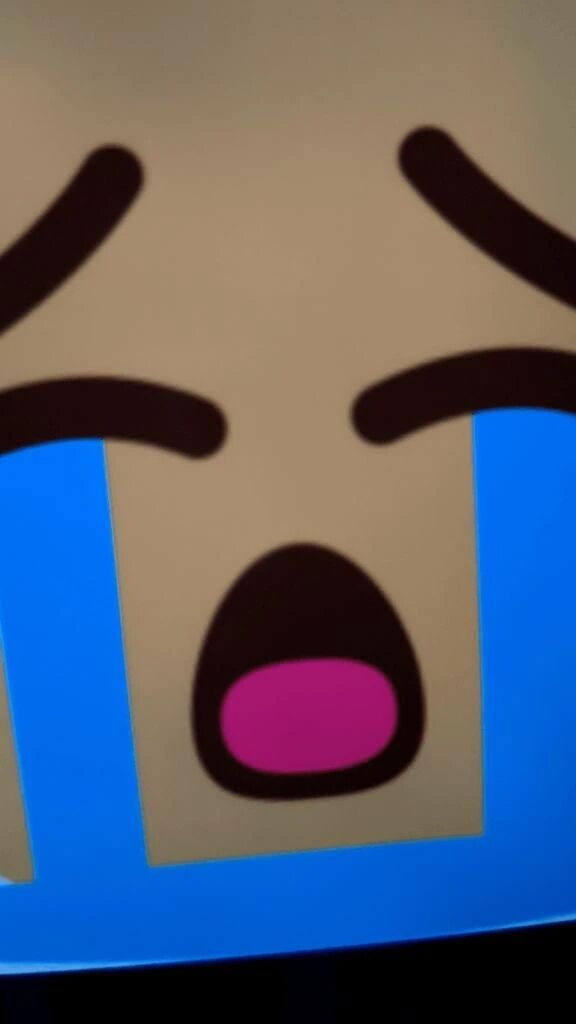 ごめんなさい（泣）