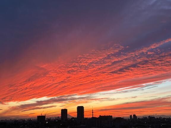 お疲れ様です♡