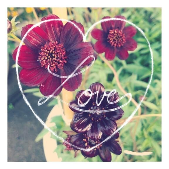 12/15♪ありがとう