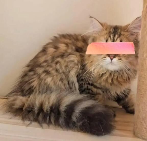 おはようございます♡♡