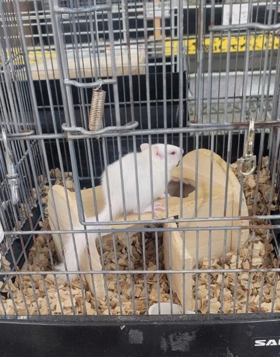 おはようございます