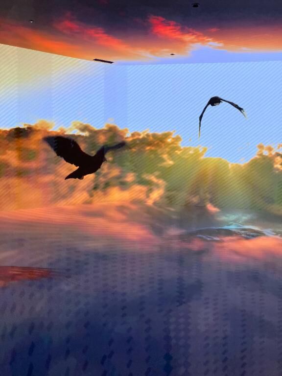 おはようございます