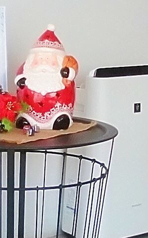 美容院納め✂️