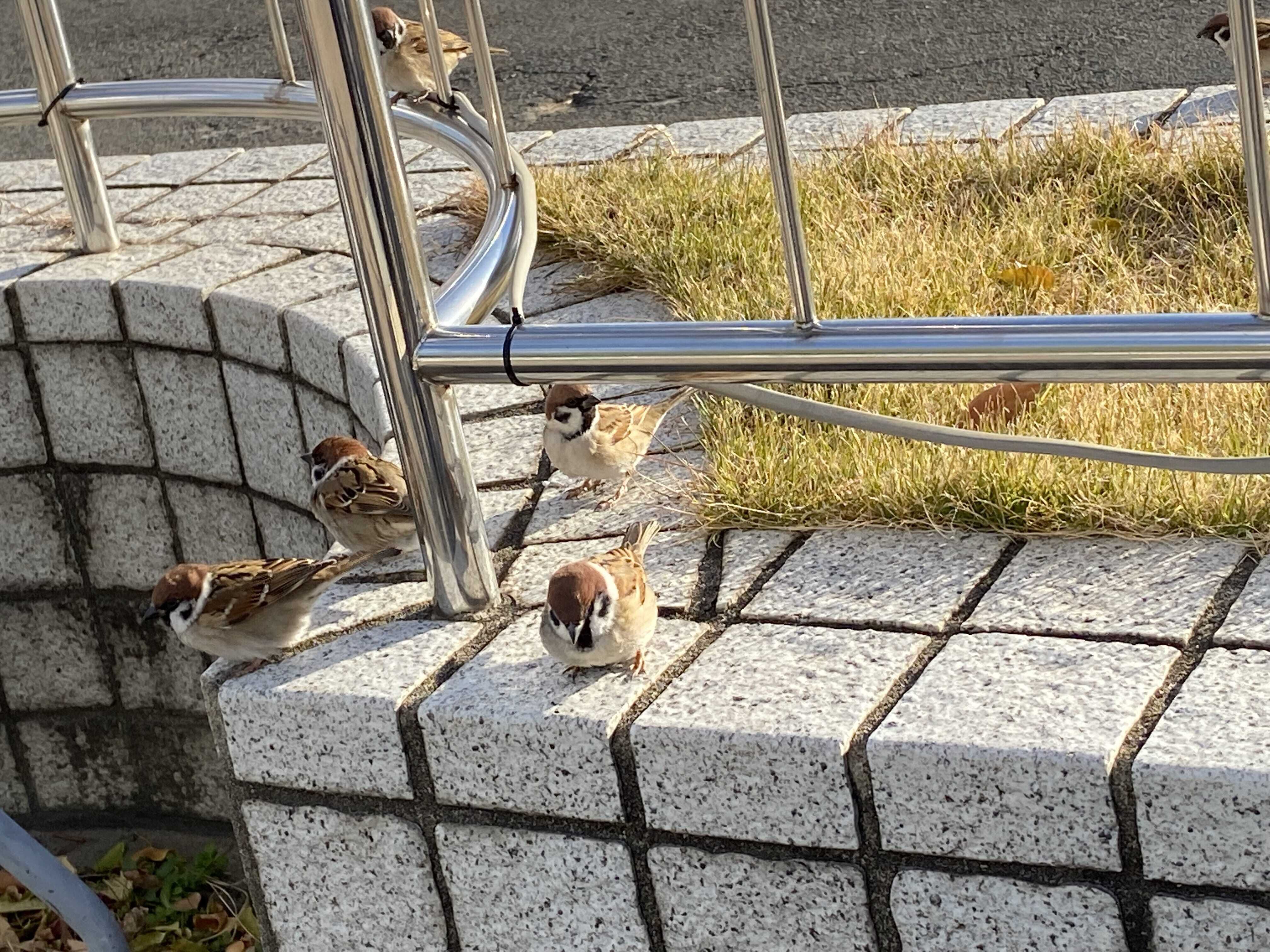 出勤してるよー